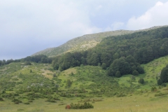 resized-Panorama_Galicica_2
