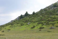 resized-Panorama_Galicica_3