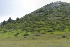 resized-Panorama_Galicica_3_v2
