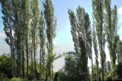 resized-Panorama_Jasiki